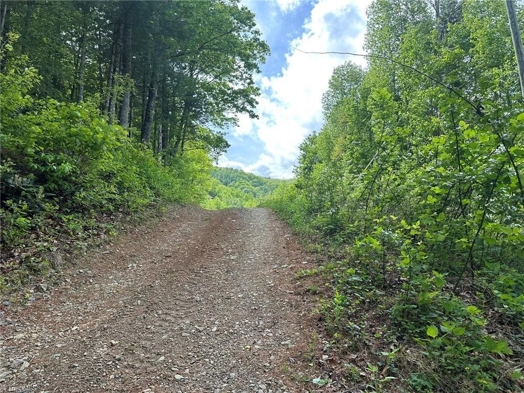 Unimproved Land at 0000 N Old NC Highway 16, Millers Creek NC 28651, photo 36 of 42