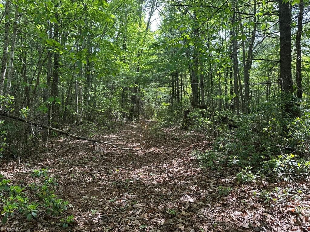 Unimproved Land at 0000 N Old NC Highway 16, Millers Creek NC 28651, photo 32 of 42