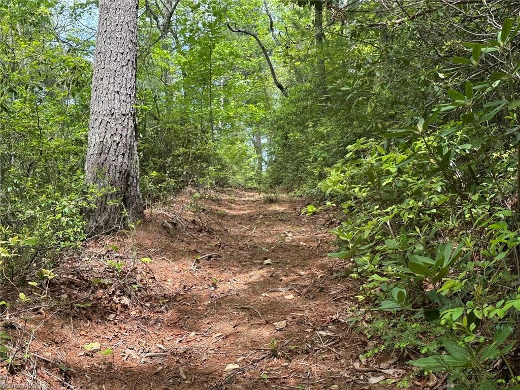 Unimproved Land at 0000 N Old NC Highway 16, Millers Creek NC 28651, photo 28 of 42