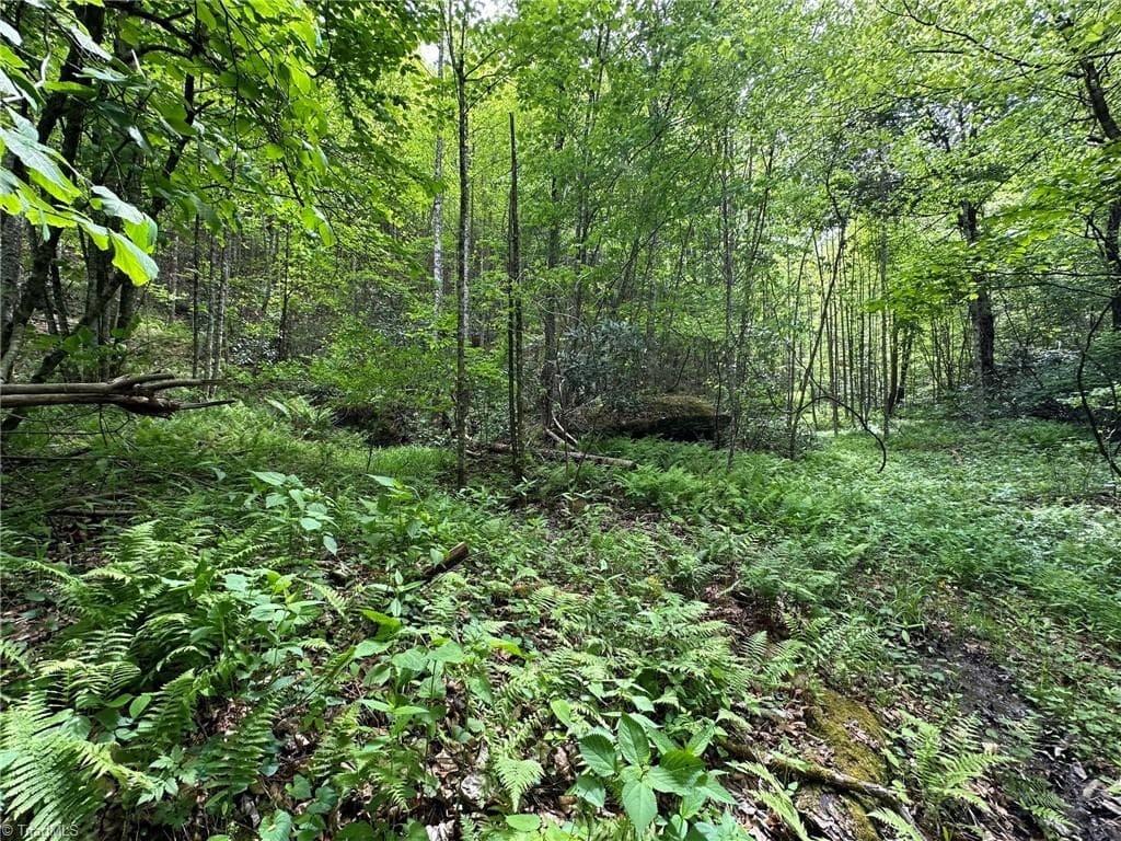 Unimproved Land at 0000 N Old NC Highway 16, Millers Creek NC 28651, photo 20 of 42