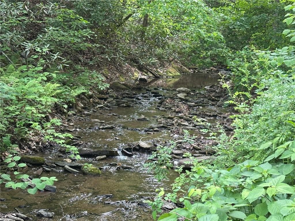 Unimproved Land at 0000 N Old NC Highway 16, Millers Creek NC 28651, photo 9 of 42