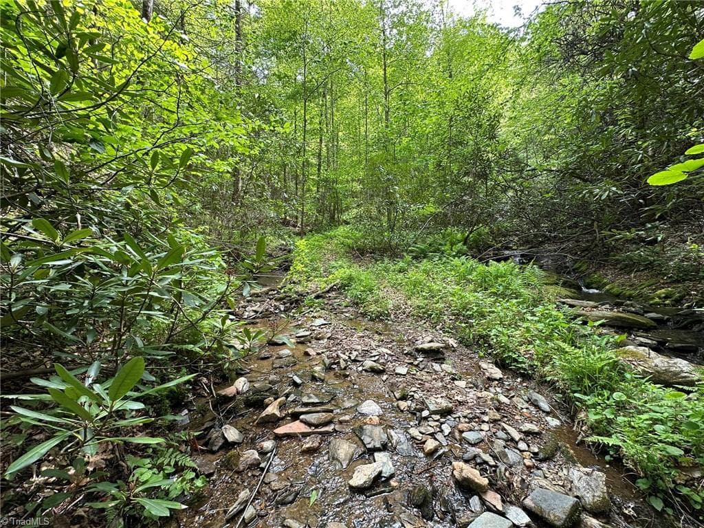 Unimproved Land at 0000 N Old NC Highway 16, Millers Creek NC 28651, photo 24 of 42
