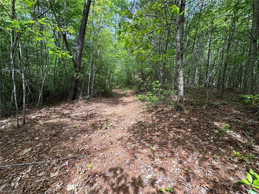 Unimproved Land at 0000 N Old NC Highway 16, Millers Creek NC 28651, photo 38 of 42