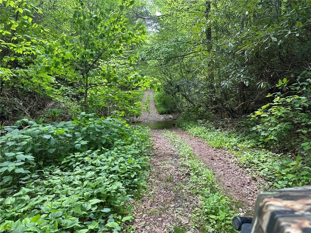 Unimproved Land at 0000 N Old NC Highway 16, Millers Creek NC 28651, photo 10 of 42