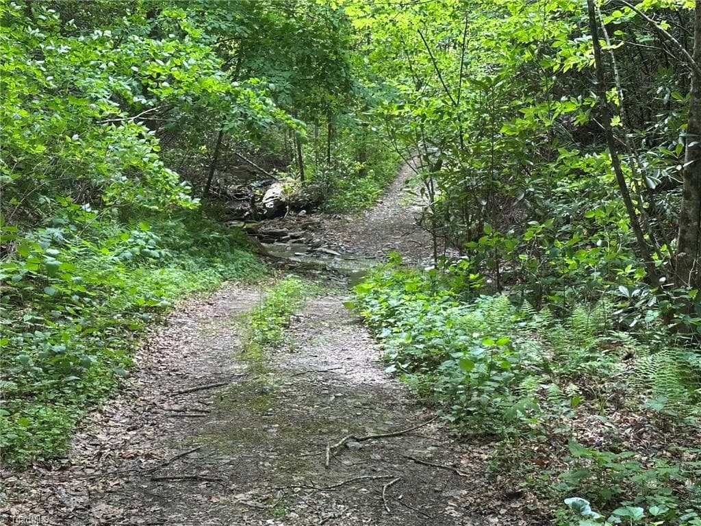 Unimproved Land at 0000 N Old NC Highway 16, Millers Creek NC 28651, photo 14 of 42