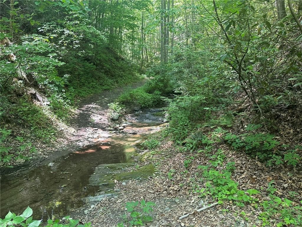 Unimproved Land at 0000 N Old NC Highway 16, Millers Creek NC 28651, photo 41 of 42