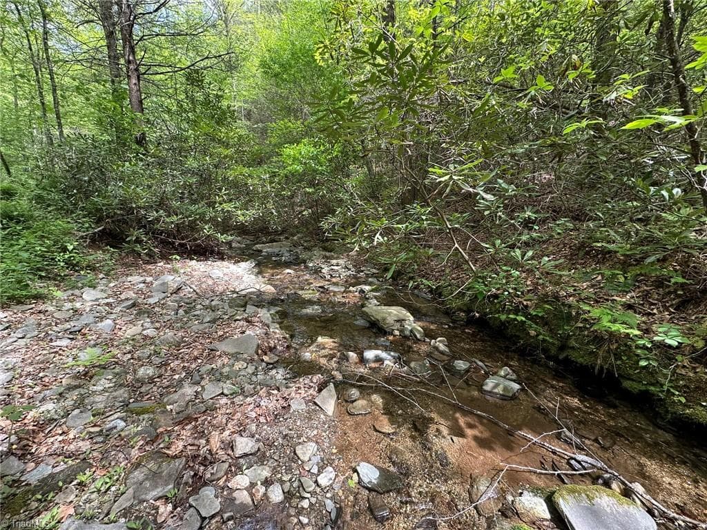 Unimproved Land at 0000 N Old NC Highway 16, Millers Creek NC 28651, photo 18 of 42