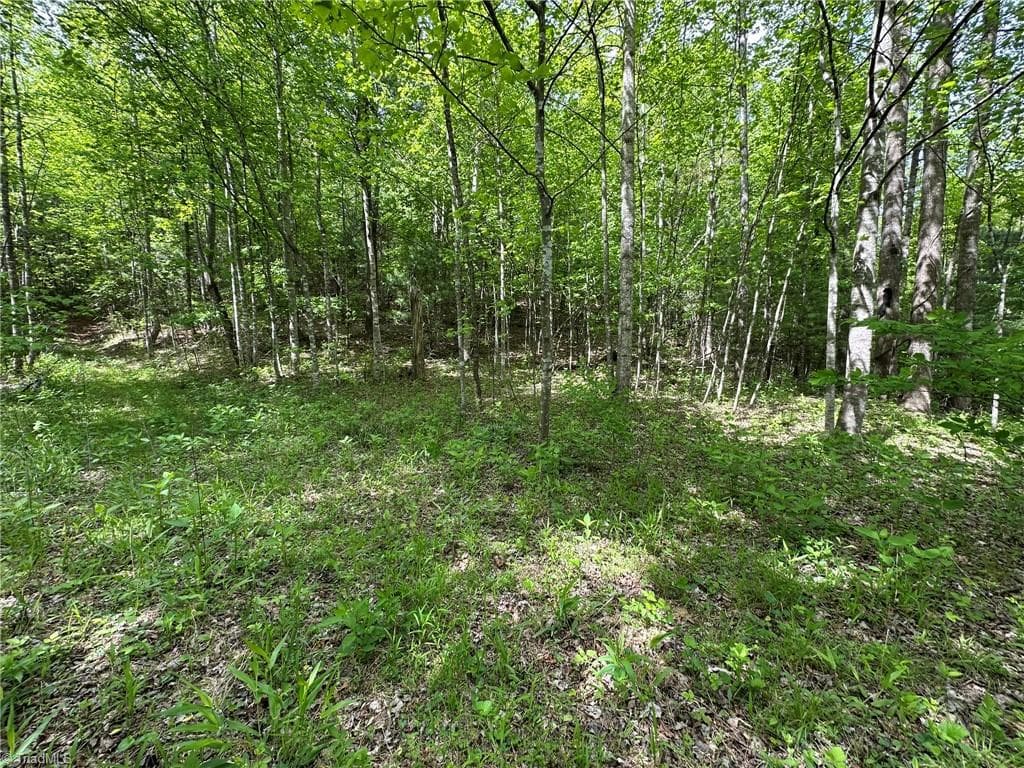 Unimproved Land at 0000 N Old NC Highway 16, Millers Creek NC 28651, photo 37 of 42