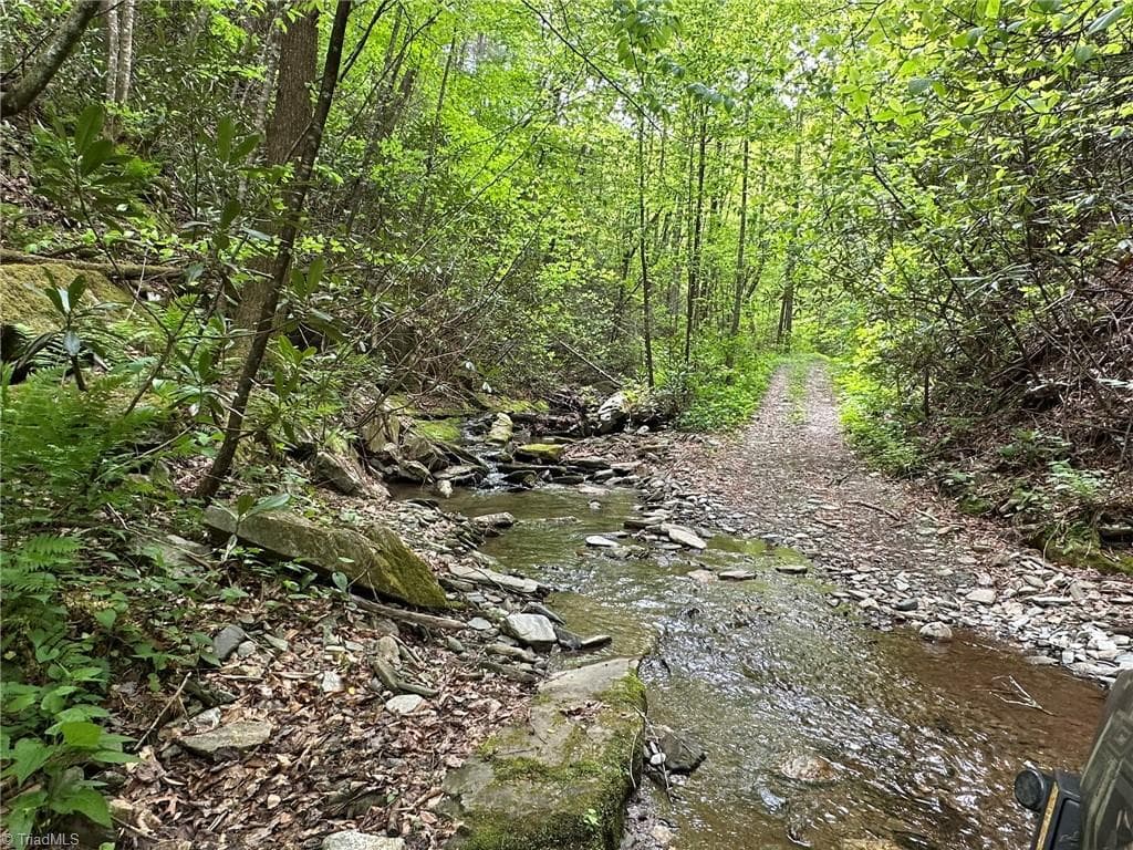Unimproved Land at 0000 N Old NC Highway 16, Millers Creek NC 28651, photo 15 of 42