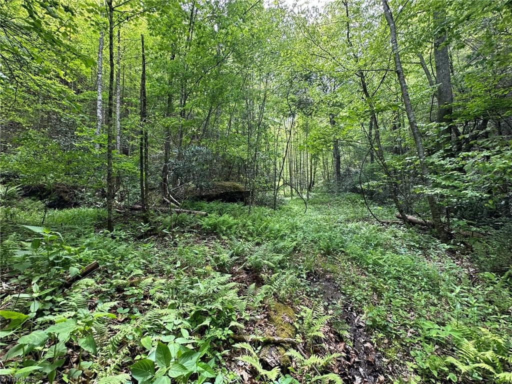 Unimproved Land at 0000 N Old NC Highway 16, Millers Creek NC 28651, photo 19 of 42