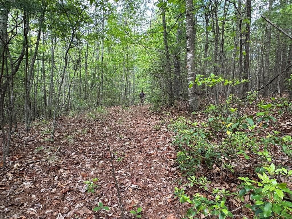 Unimproved Land at 0000 N Old NC Highway 16, Millers Creek NC 28651, photo 35 of 42