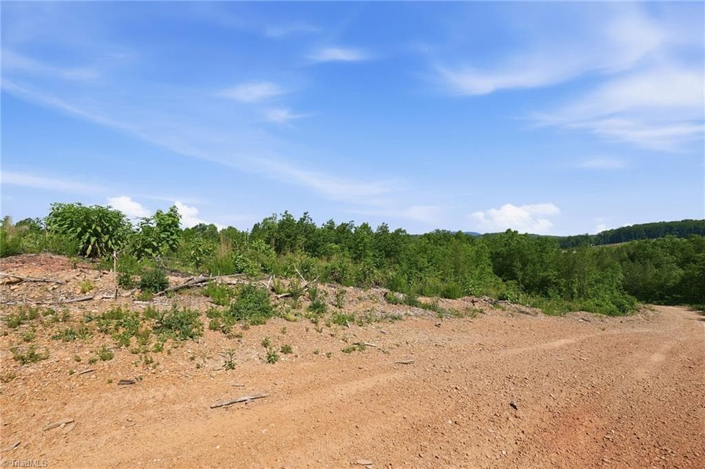 Agriculture at 00 Lot#4 Skeen View Road, Asheboro NC 27205, photo 2 of 17
