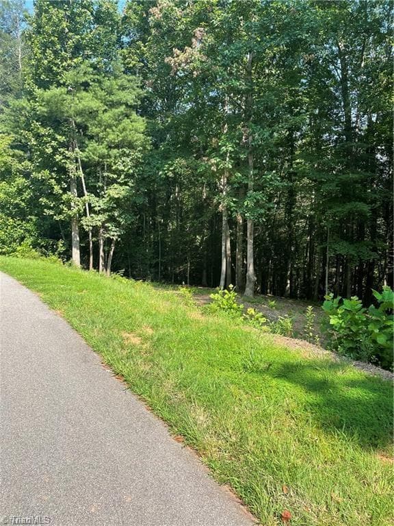 000 Burberry Lane, Purlear NC 28665