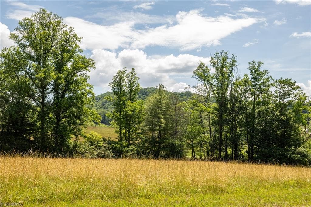 Single Family Residence at TBD Shingle Gap Road, Purlear NC 28665, photo 2 of 24