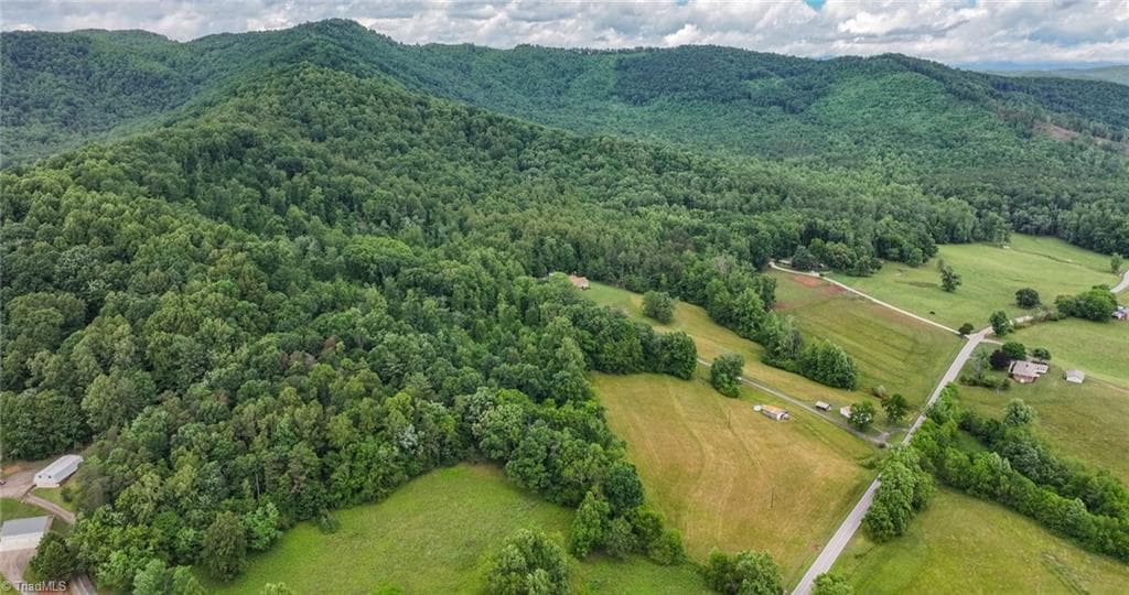 Single Family Residence at TBD Shingle Gap Road, Purlear NC 28665, photo 22 of 24