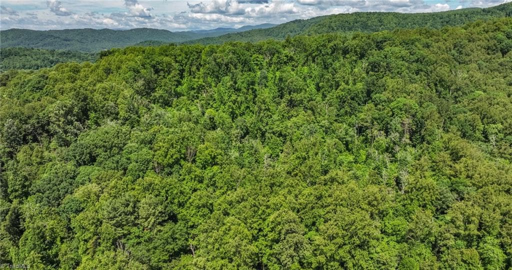 Single Family Residence at TBD Shingle Gap Road, Purlear NC 28665, photo 5 of 24