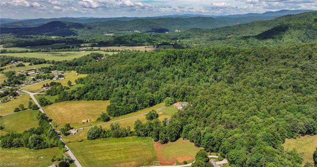 Single Family Residence at TBD Shingle Gap Road, Purlear NC 28665, photo 10 of 24