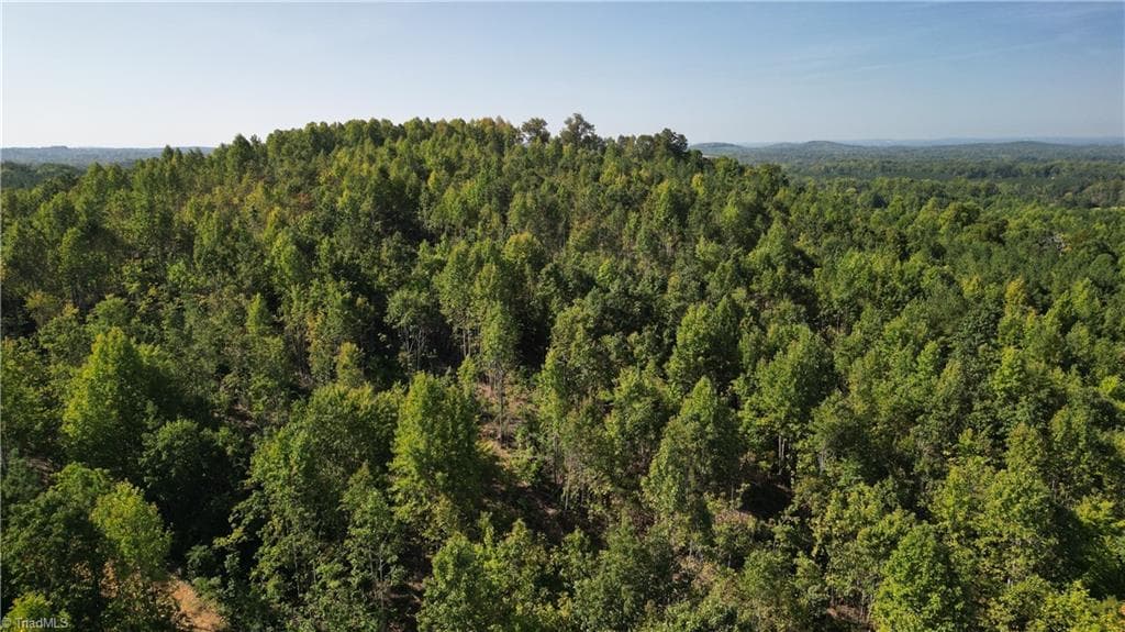 Unimproved Land at 808 Neely Road, Asheboro NC 27205, photo 7 of 18