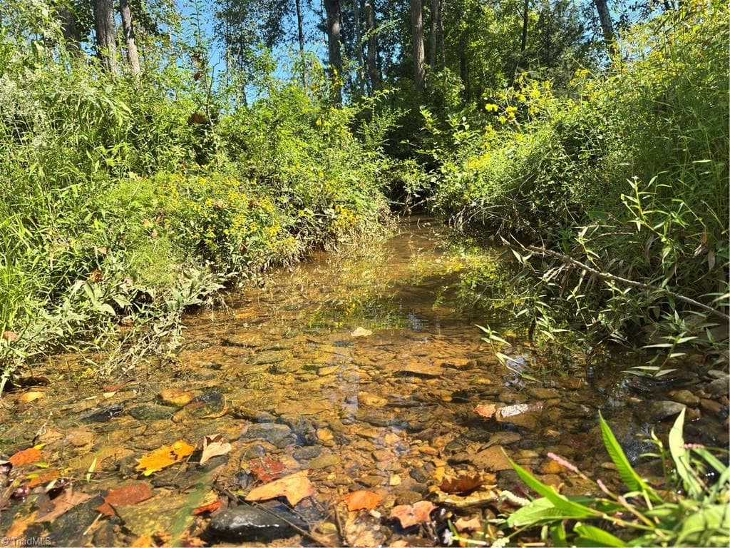 Unimproved Land at 808 Neely Road, Asheboro NC 27205