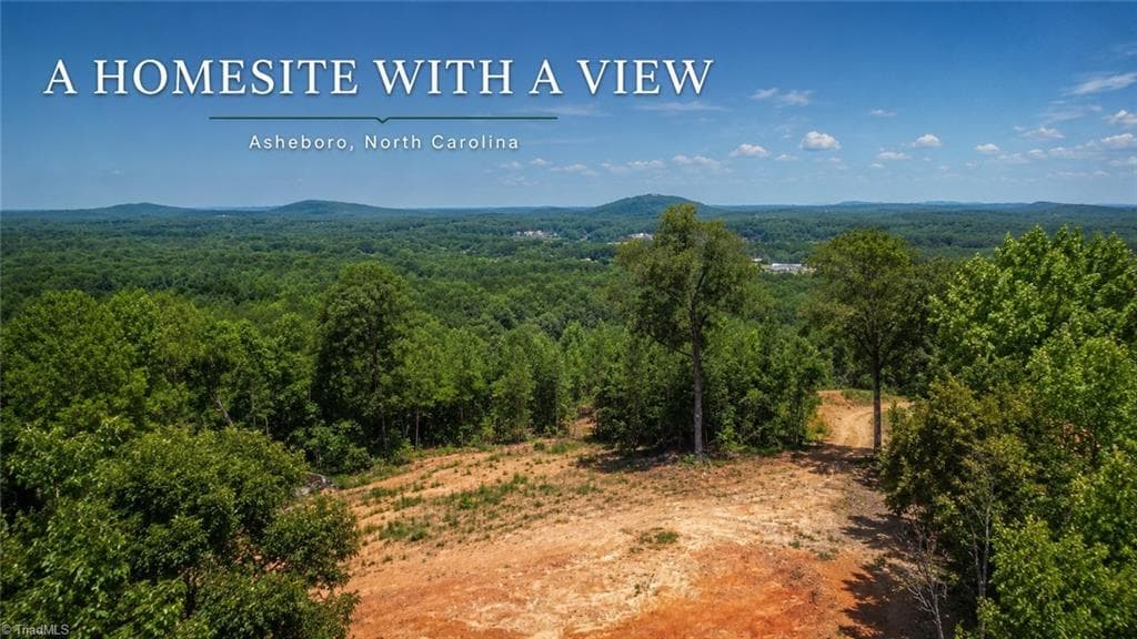 Unimproved Land at 808 Neely Road, Asheboro NC 27205, photo 10 of 18