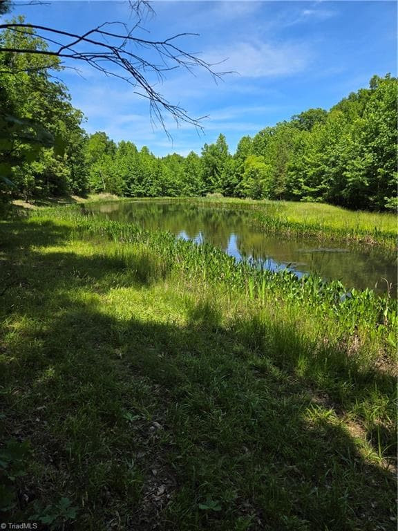335 Healing Springs Drive, Denton NC 27239