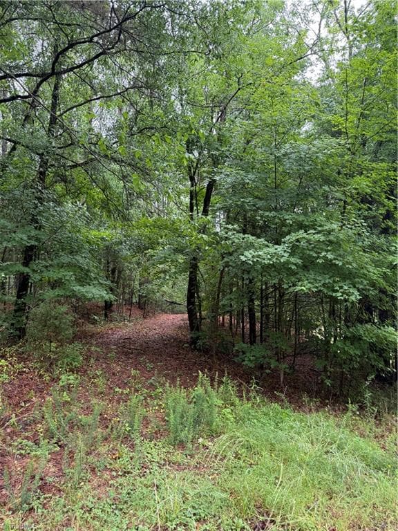 Agriculture at 0 Pine Ridge Road, China Grove NC 28023, photo 3 of 4