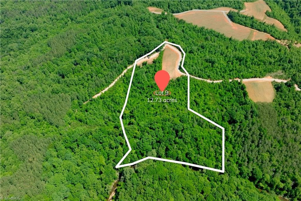 Unimproved Land at 9 Roby Fulk Road, Pinnacle NC 27043, photo 2 of 17