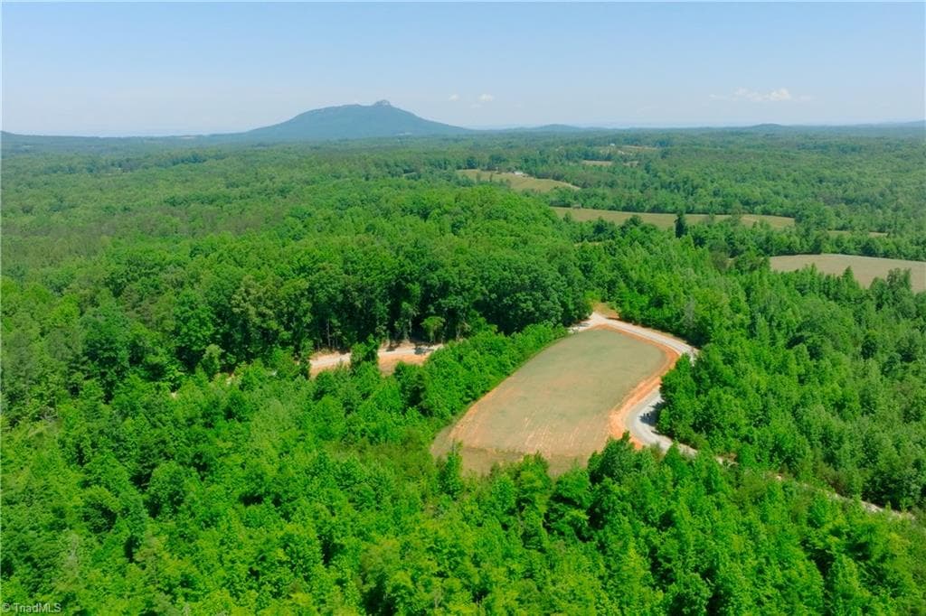 Unimproved Land at 9 Roby Fulk Road, Pinnacle NC 27043, photo 6 of 17