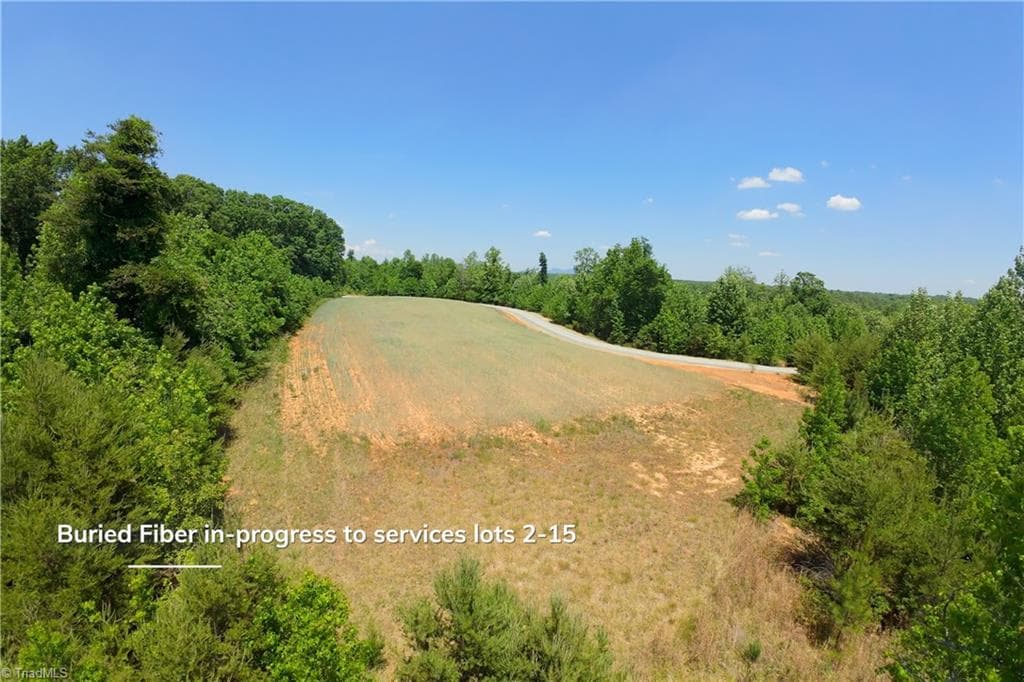 Unimproved Land at 9 Roby Fulk Road, Pinnacle NC 27043, photo 4 of 17