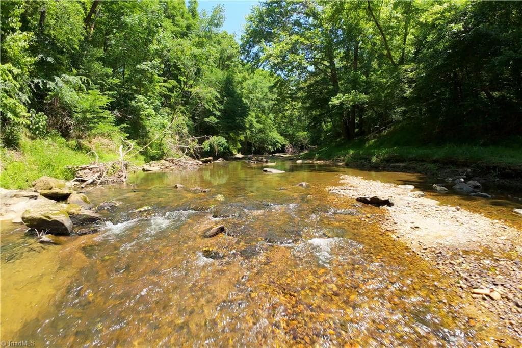 Unimproved Land at 16 Roby Fulk Road, Pinnacle NC 27043, photo 2 of 19