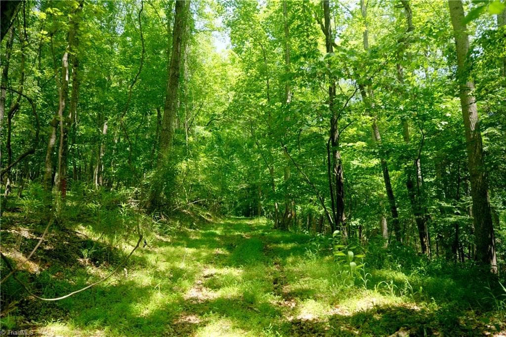 Unimproved Land at 16 Roby Fulk Road, Pinnacle NC 27043, photo 5 of 19