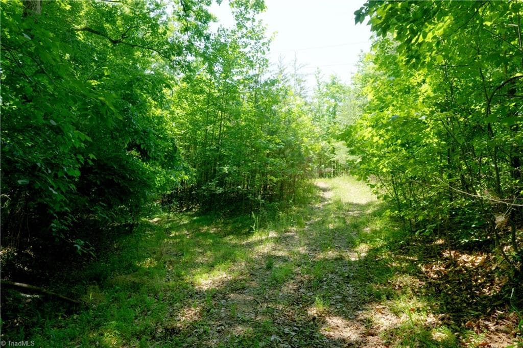 Unimproved Land at 16 Roby Fulk Road, Pinnacle NC 27043, photo 9 of 19