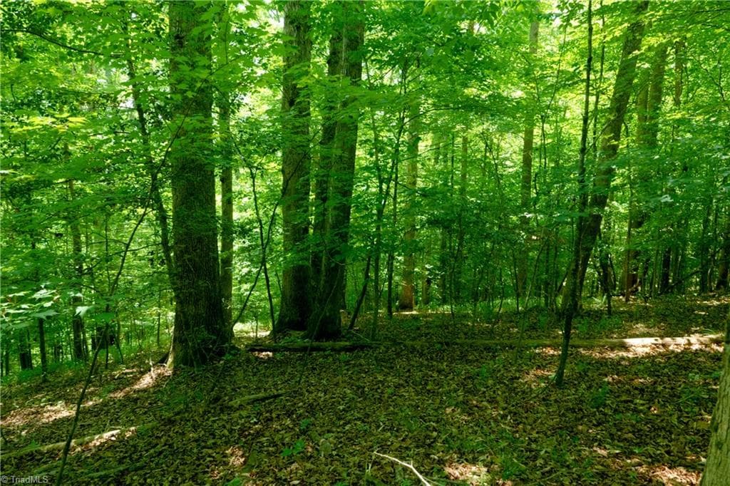 Unimproved Land at 16 Roby Fulk Road, Pinnacle NC 27043, photo 4 of 19