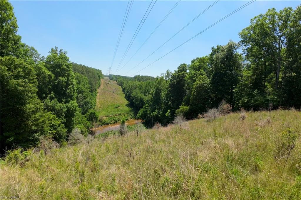 Unimproved Land at 16 Roby Fulk Road, Pinnacle NC 27043, photo 8 of 19
