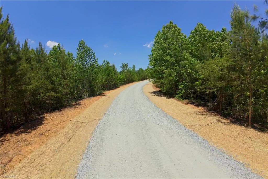 Unimproved Land at 11 Roby Fulk Road, Pinnacle NC 27043, photo 12 of 13