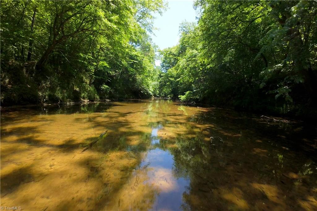 Unimproved Land at 11 Roby Fulk Road, Pinnacle NC 27043, photo 10 of 13