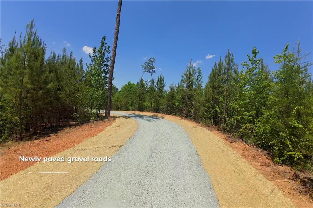 Unimproved Land at 11 Roby Fulk Road, Pinnacle NC 27043, photo 11 of 13