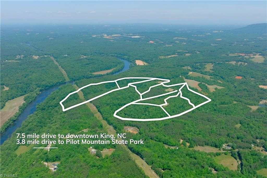 Unimproved Land at 11 Roby Fulk Road, Pinnacle NC 27043, photo 4 of 13