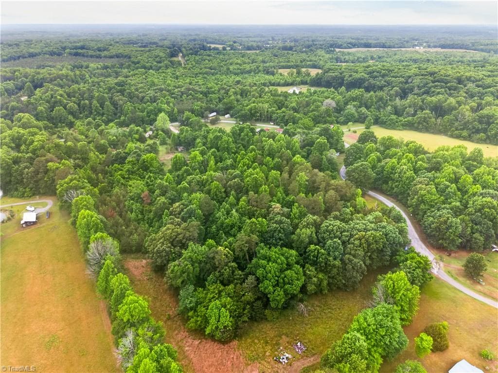Single Family Residence at 7436 Chaseford Road, Liberty NC 27298, photo 6 of 14
