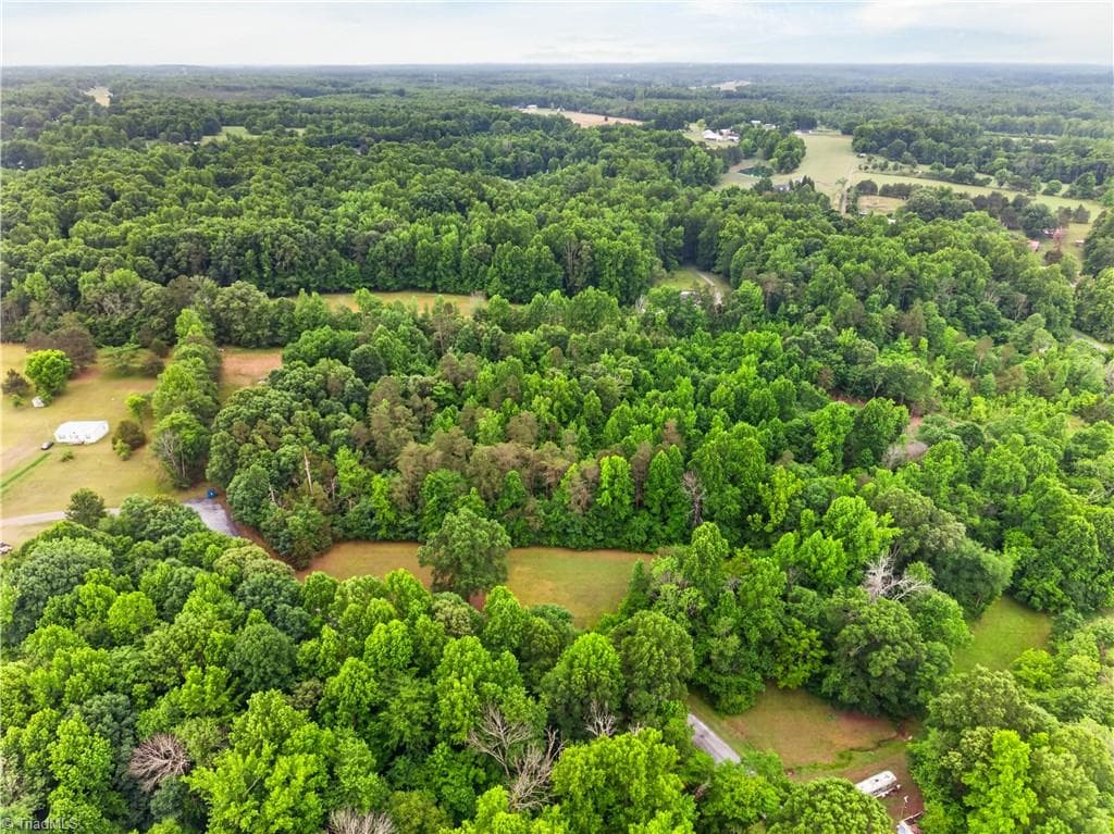 Single Family Residence at 7436 Chaseford Road, Liberty NC 27298, photo 10 of 14