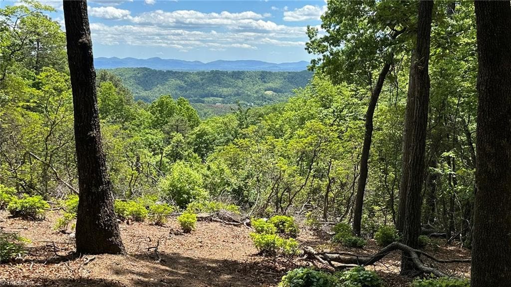 T23 Widow Mountain Drive, Hays NC 28635