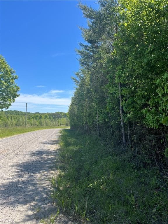 Unimproved Land at 0 Palmer Road, Westfield NC 27053, photo 2 of 3