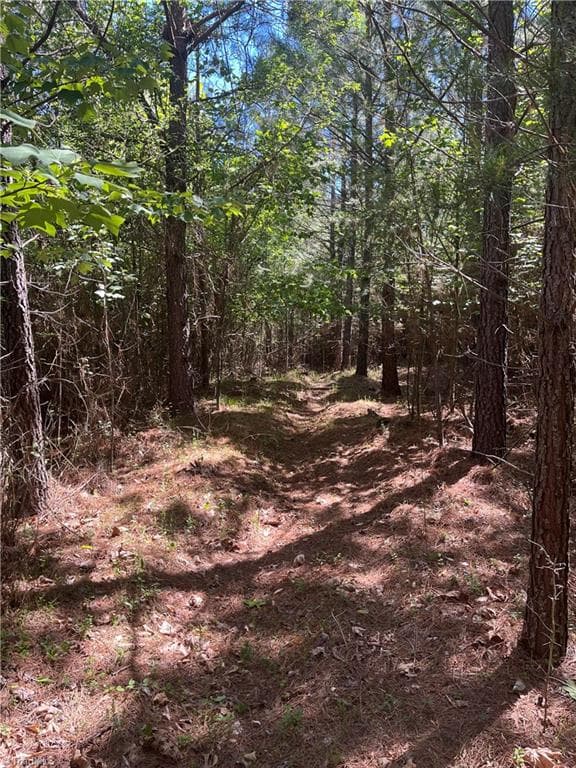 Unimproved Land at 0 Palmer Road, Westfield NC 27053, photo 3 of 3