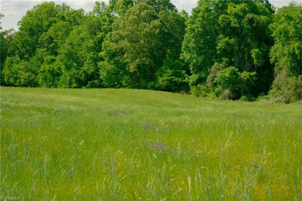 Unimproved Land at 2 Powell Bridge Road, Harmony NC 28634, Harmony, photo 7 of 30
