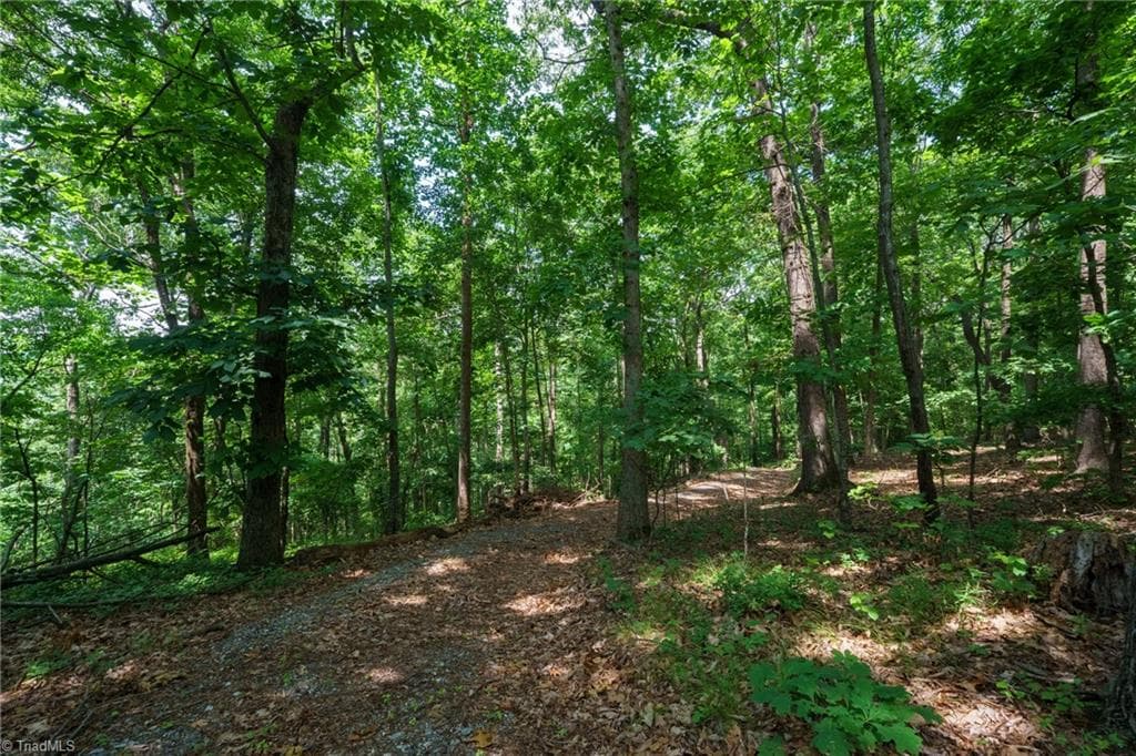 Remarks at 00 Hendren Road, Moravian Falls NC 28654, photo 2 of 13