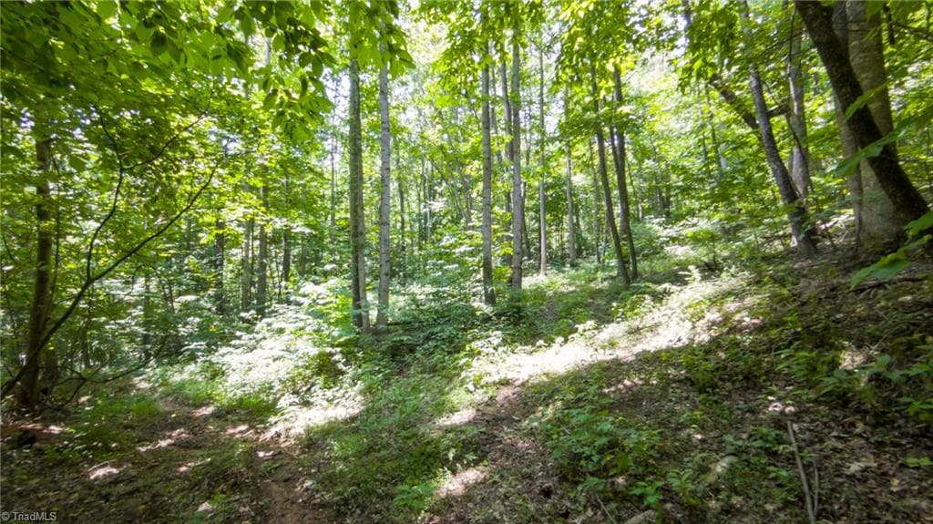 Remarks at 00 Hendren Road, Moravian Falls NC 28654, photo 6 of 13