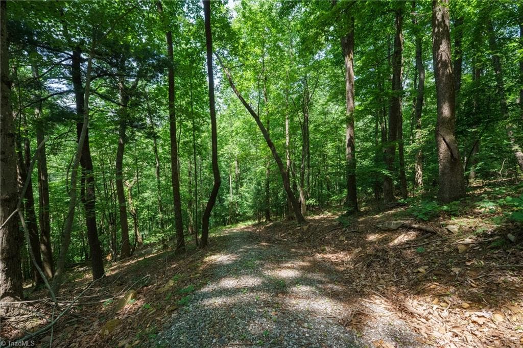 Remarks at 00 Hendren Road, Moravian Falls NC 28654, photo 3 of 13
