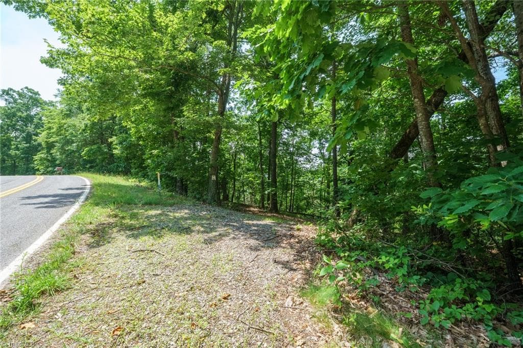 Remarks at 00 Hendren Road, Moravian Falls NC 28654, photo 4 of 13