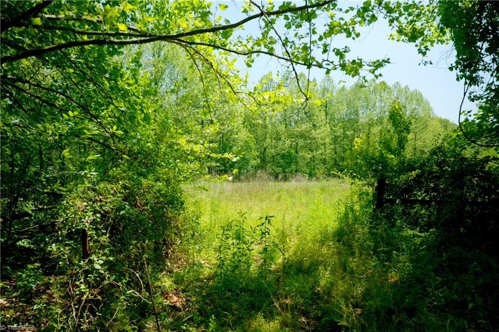 Unimproved Land at 2 Morrison Road, Morganton NC 28655, Morganton, photo 9 of 13