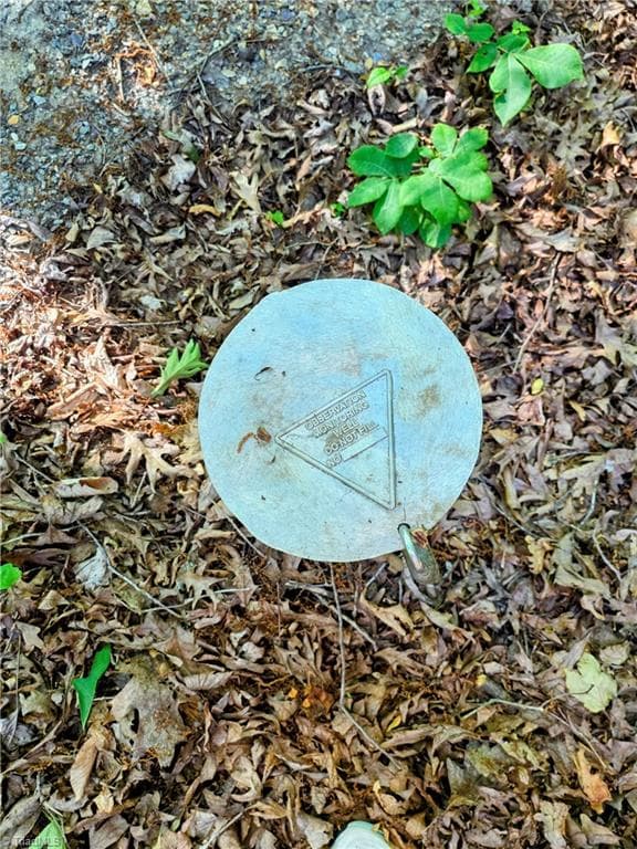 Stick/Site Built at 1055 Ed Booth Road, Westfield NC 27053, photo 15 of 16
